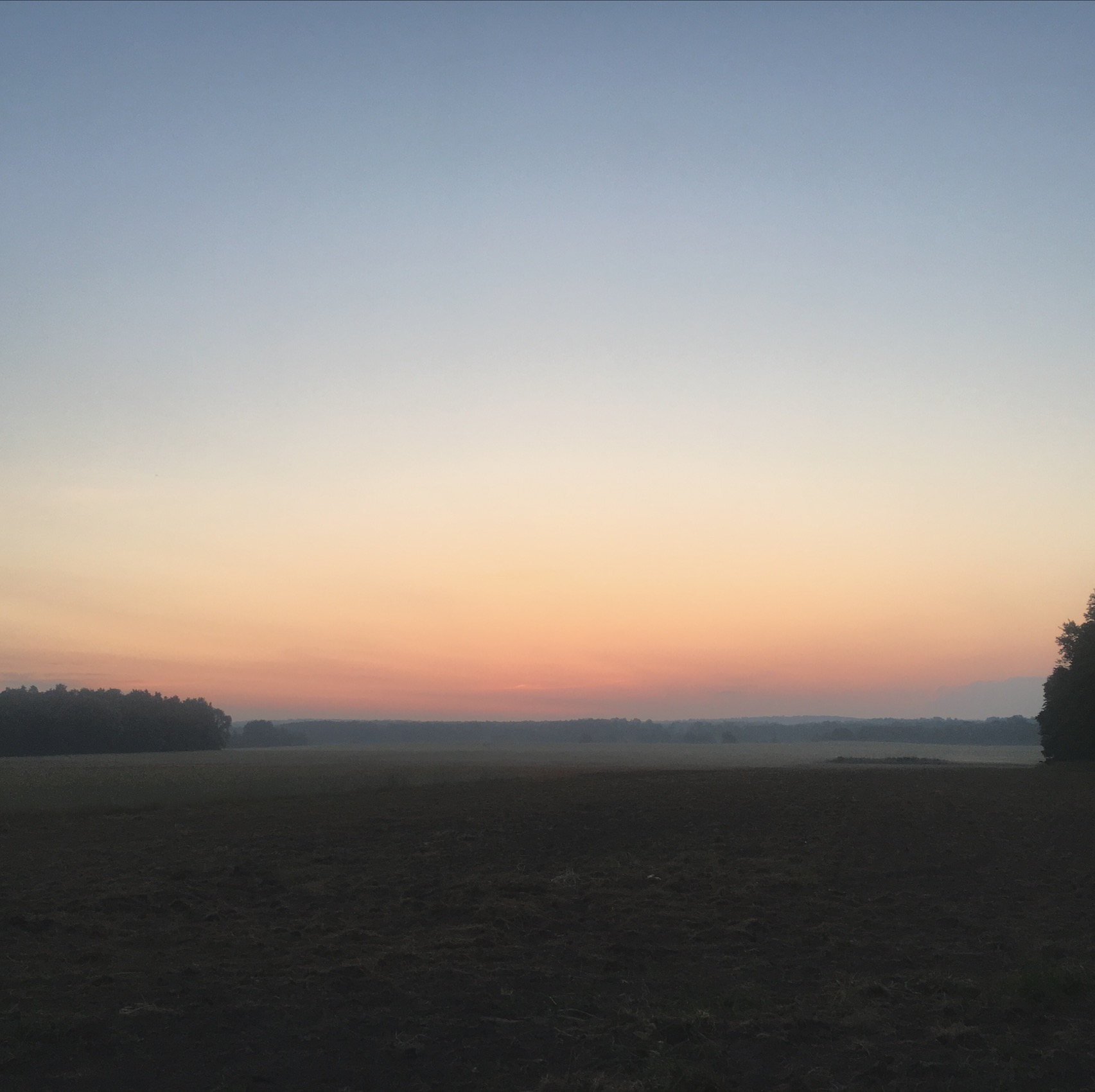 Die Nacht wäre schonmal geschafft... 
