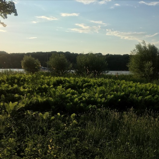 Entlang an der schönsten Natur im Berliner Umland