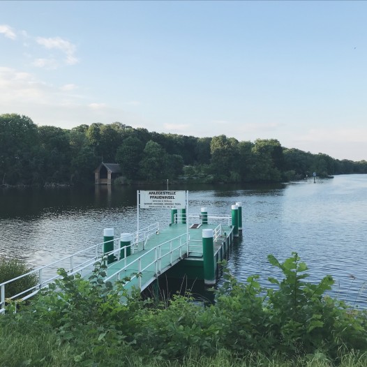 Blick auf die Pfaueninsel